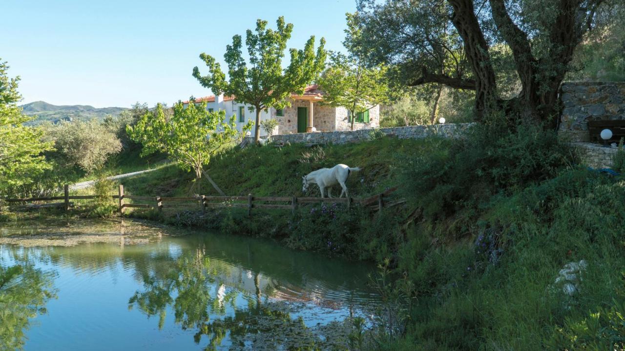 Villa Elia Lambiní Buitenkant foto